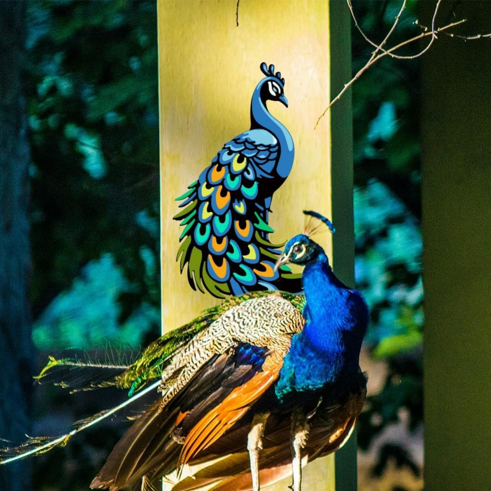 3Pcs Layered Peacock Stencils  - огляд і ціна Paint Brush